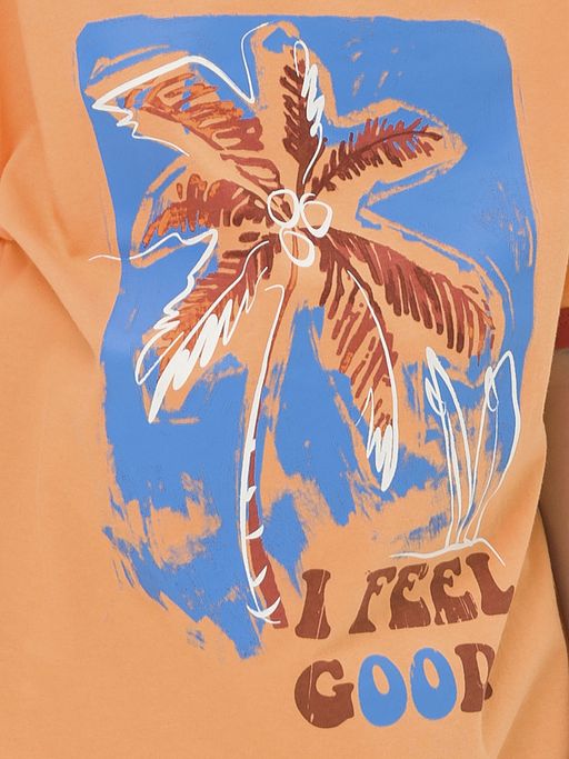 Pelican BFT3321/6 футболка для мальчиков  фото 4