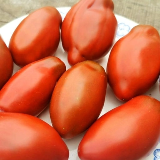 Помидоры Тёмный Космос - Deep Spase Tomato - Дом помидоров фото 2