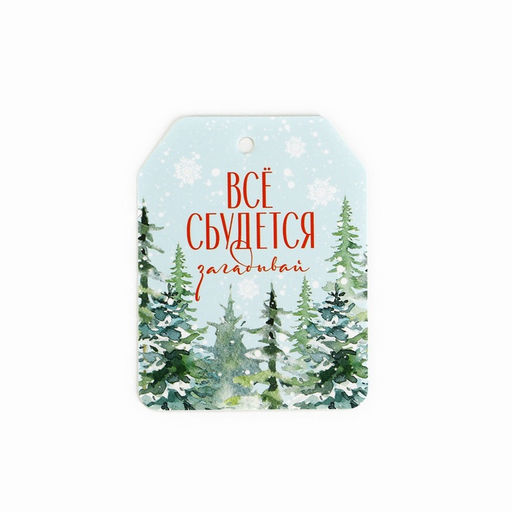 Цена за 10 шт. Шильдик новогодний на подарок «Верь в чудеса», набор 6 штук, 16×24 см