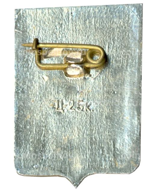 Значок Демянск