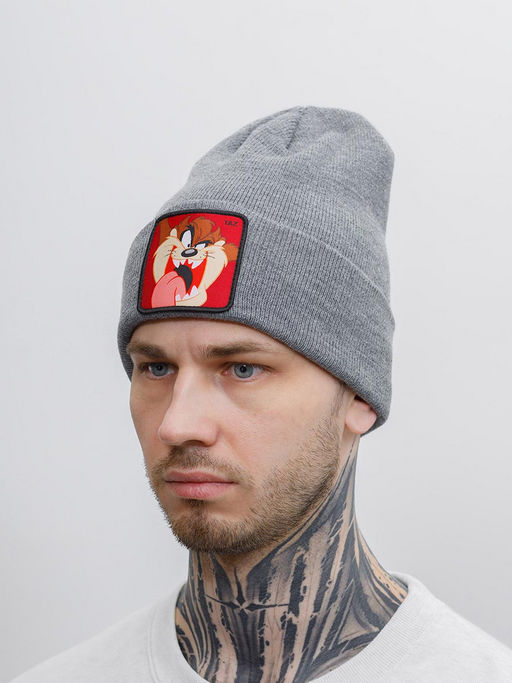 Шапка CAPSLAB арт. CL/LOO5/1/BON/TAZ2 Looney Tunes Taz (серый) фото 2