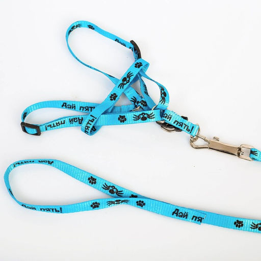 Комплект Дай пять, шлейка 26-39 см, поводок 120х1 см - Пушистое счастье фото 7