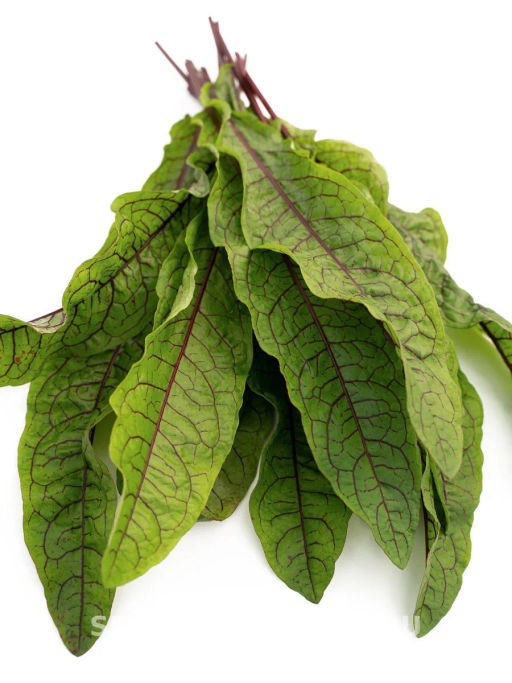 Щавель Кровавая Мэри - Партнер фото 8