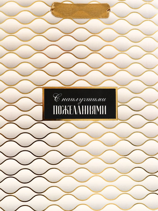 Цена за 2 шт. Пакет подарочный вертикальный «С наилучшими пожеланиями», 18×23×10 см