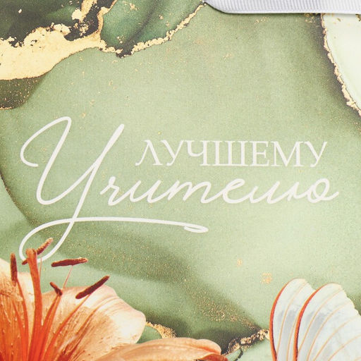 Цена за 2 шт. Пакет подарочный ламинированный, упаковка, «Лучшему учителю», M 30×26×9 см