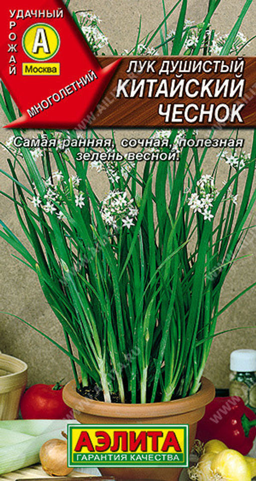 0550A Лук душистый Китайский чеснок 0,3гр