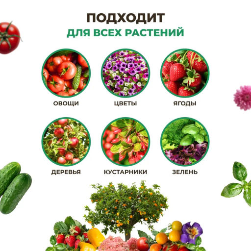 Цион Классик (полимерный контейнер, 700 г) - Zion фото 8