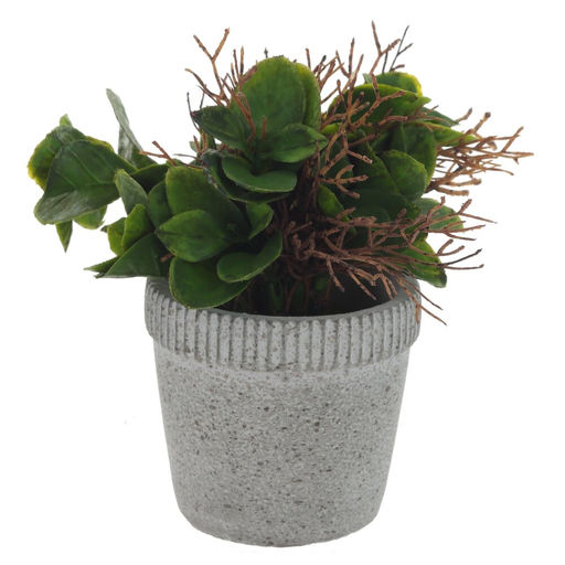 Цветочная композиция, L11 W11 H16 см, 2в. - Remeco фото 2