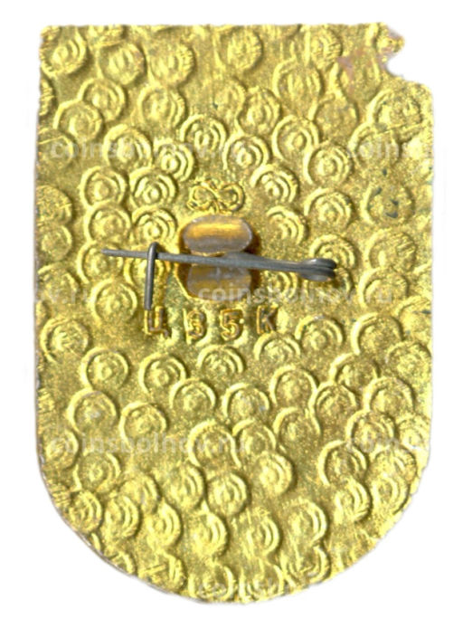 Значок Можайск