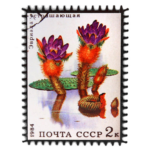 Магнит керамический 6х8см Почтовая марка Кувшинка (Китай)