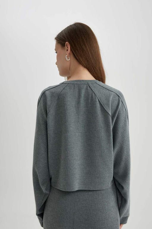 Футболка Relax Fit с круглым вырезом и длинными рукавами - Defacto фото 6