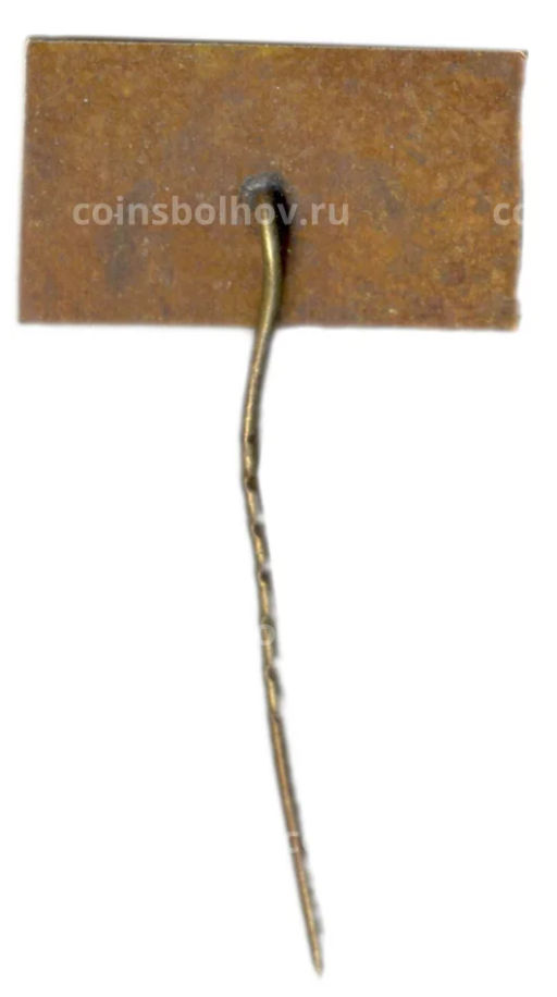 Значок Вильнюс