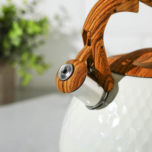 Чайник со свистком из нержавеющей стали Magistro Heat, 3 л, ТРС, индукция, ручка soft-touch, цвет белый