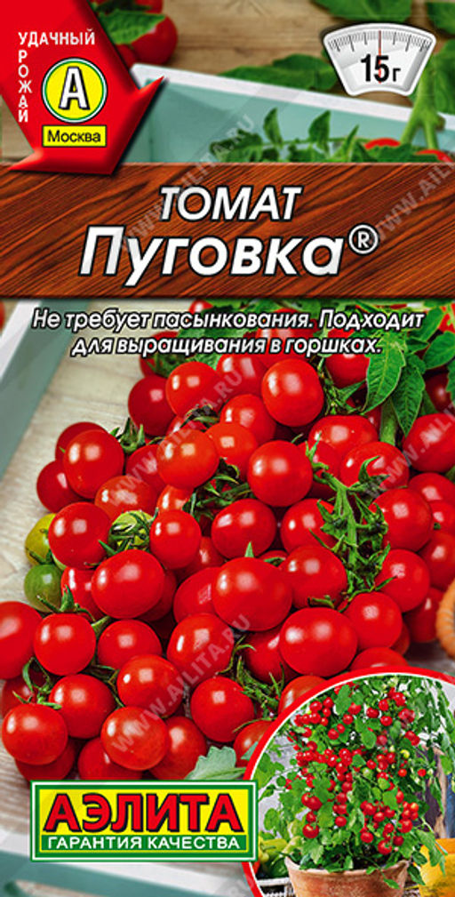 0955A Томат Пуговка 20шт