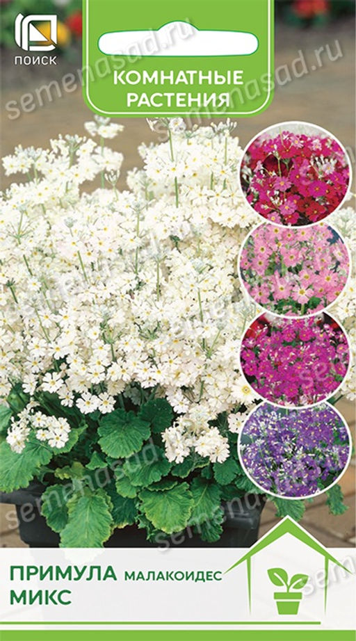 Примула малакоидес Розовая (ЦВ) (К) 10шт - Поиск фото 2