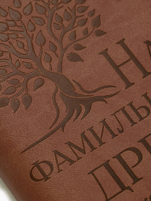 Родословная книга со встроенной флешкой 16 Gb «Наше фамильное дерево», 17.5×23 см