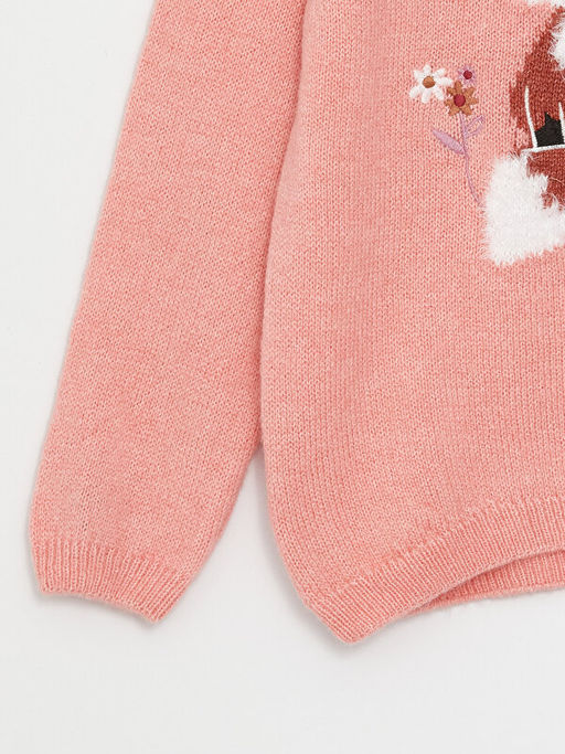 Bisiklet Yaka Desenli Uzun Kollu K?z ?ocuk Triko Kazak - Waikiki фото 3