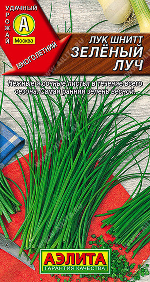 0580A Лук шнитт Зеленый луч 0,5гр