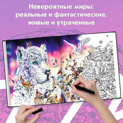 Мироморфозы. Экстремальные раскраски