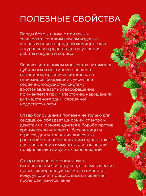Боярышник (плоды) для укрепления сердечно-сосудистой системы - Siberina фото 3