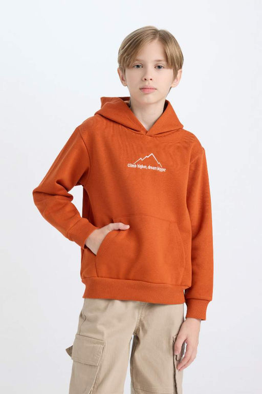 Толстовка обычного кроя с капюшоном и принтом на спине для мальчиков с вышивкой - Defacto фото 3