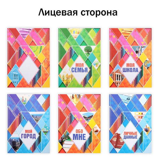 Папка школьная на кольцах «Портфолио школьника», 13 листов-разделителей, 24.5×32 см.