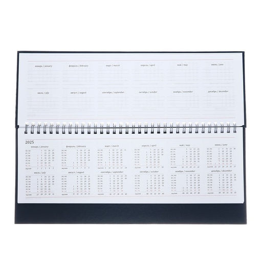 Планинг недатированный 100 х 300 мм, 56 листов, на гребне, обложка бумвинил, синий - Calligrata фото 4