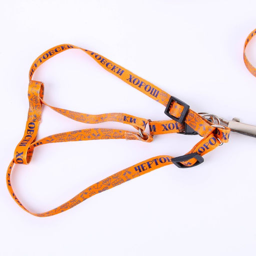 Комплект Чертовски хорош, шлейка 24-36 см, поводок 120х1 см - Пушистое счастье фото 2