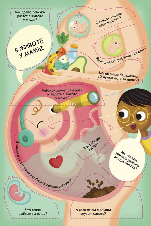 Волшебные окошки. Откуда берутся дети? - Робинс фото 5