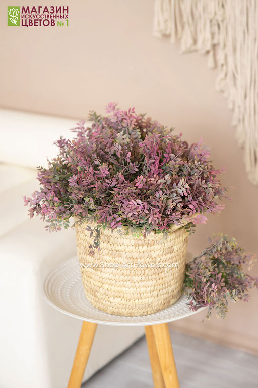 103 Листья фисташки, куст - Без тм фото 15