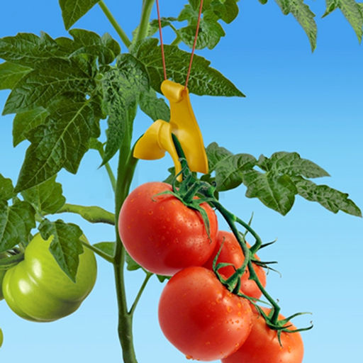 Подвес для растений пластмассовый 6х3х1,2см, набор 10шт (Россия) - Домашняя Мода фото 4