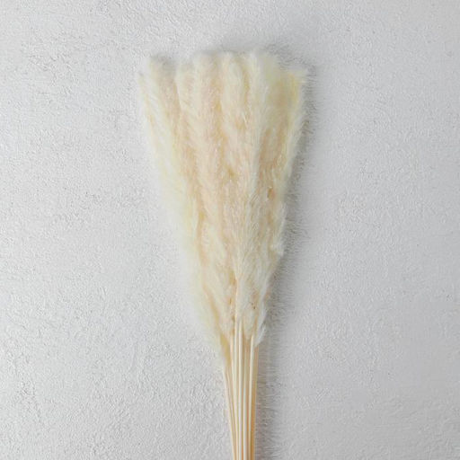 Сухоцвет «Камыш», набор 15 шт., бежевый