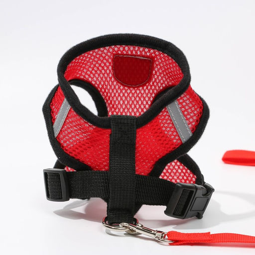 Шлейка дышащая с поводком и светоотражающей нашивкой, M, ОШ 33, ОГ 32-43, красная - Пушистое счастье фото 3