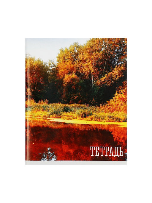 Тетрадь 48 листов в клетку Calligrata Времена года, обложка мелованная бумага, блок №2, белизна 75% (серые листы), МИКС  фото 8