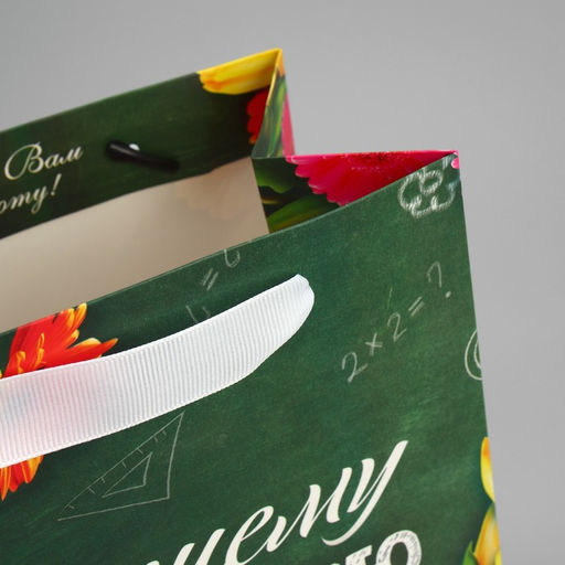 Цена за 2 шт. Пакет подарочный ламинированный, упаковка, «Лучшему Учителю», MS 18 х 23 х 10 см