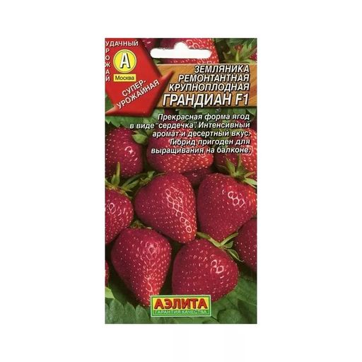 Земляника Грандиан F1 ---