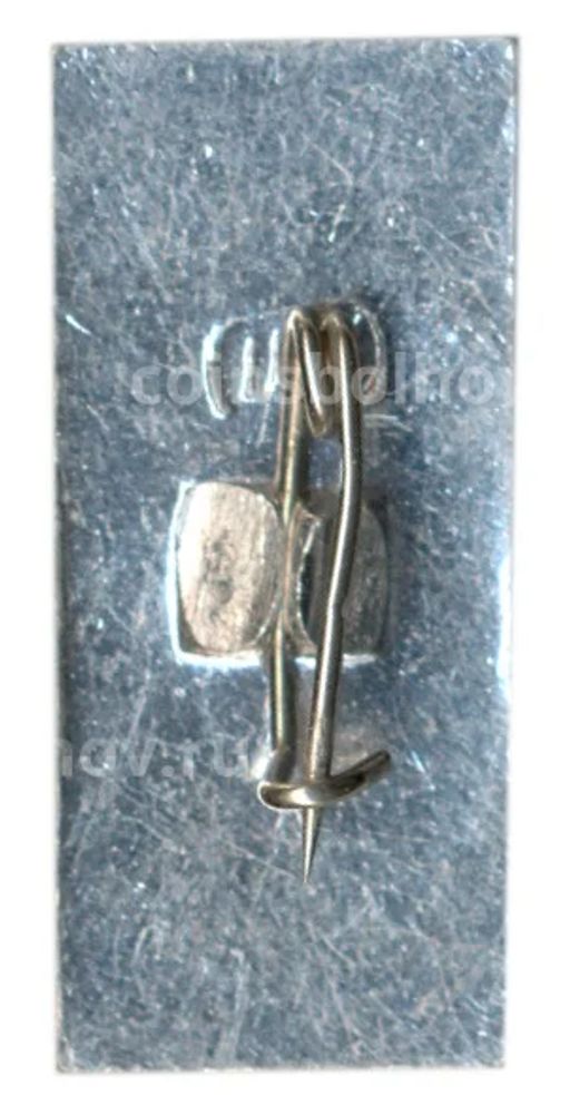 Значок Кусково