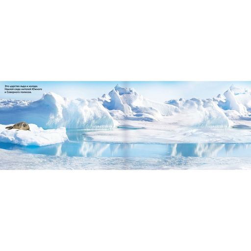 250 наклеек Животные со всего света, 8 стр. - Буква-ленд фото 2