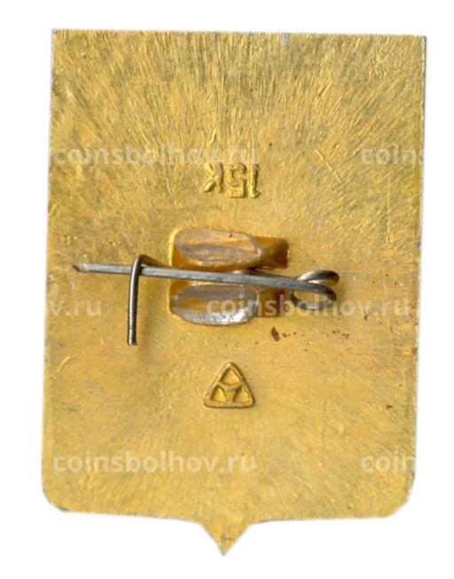 Значок Владимир