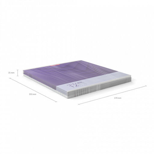 Цена за 280 шт. Тетрадь школьная ученическая ErichKrause Duotone Next ассорти, 12 листов, крупная клетка (в плёнке по 10 шт.) фото 11