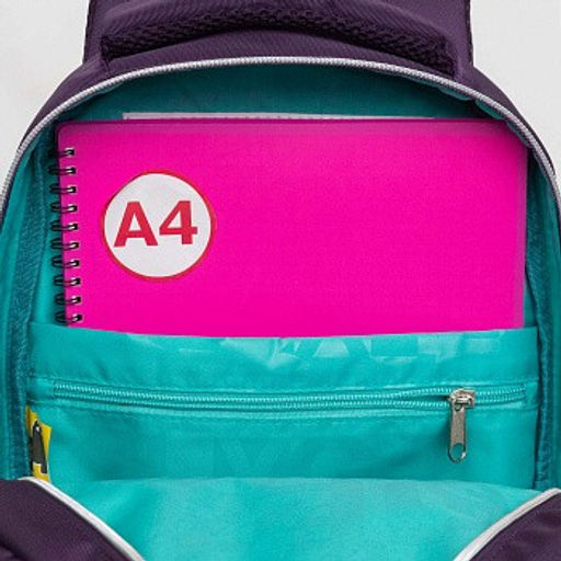 RG-460-5 Рюкзак школьный - Grizzly фото 47