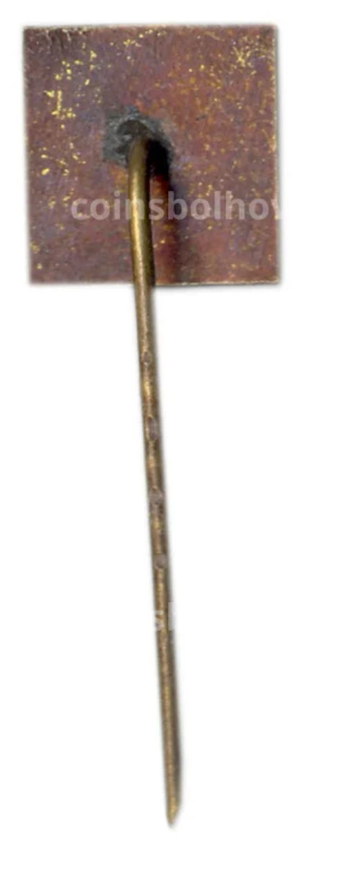 Значок рекламный NZ