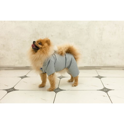 Комбинезон зимний для животных, флис, S (ДС 20-22, ОГ 32-34 см, ОШ 26 см), серый - Пижон фото 11