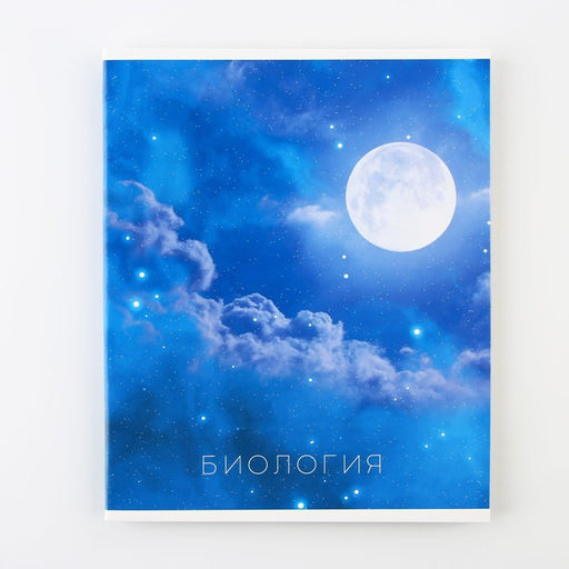 Предметная тетрадь, 48 листов, Биология, со справочными материалами Алгебра, обложка мелованный картон 230 гр., внутренний блок в клетку 80 гр., белизна до 80%, блок №4 - Artfox study фото 6