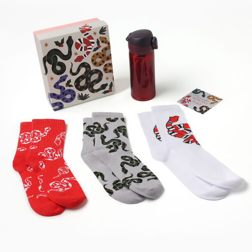 Подарочный набор термос и носки 3 пары KAFTAN Snake, размер 36-39