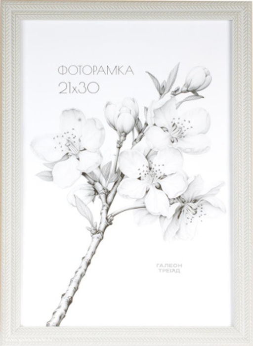 Фоторамка 21х30 / KSF1811-2 /уп10