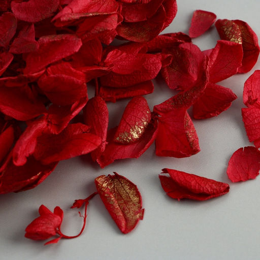 Набор для создания поддона из гипса с сухоцветами Овал - Школа талантов фото 23