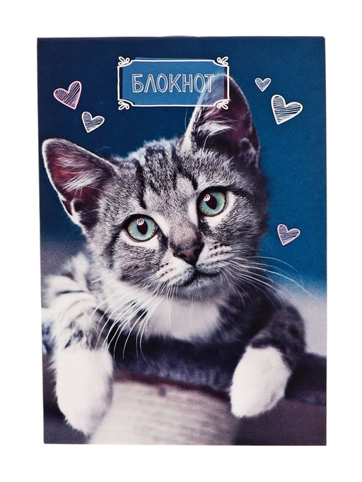 Цена за 20 шт. Блокнот А6, 24 листа в клетку на скрепке «Котята», обложка мелованный картон, МИКС