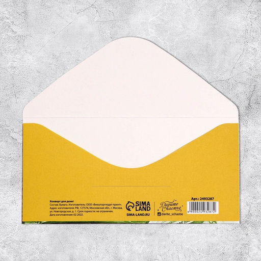 Цена за 10 шт. Конверт для денег «Счастье не в деньгах», 16.5×8 см