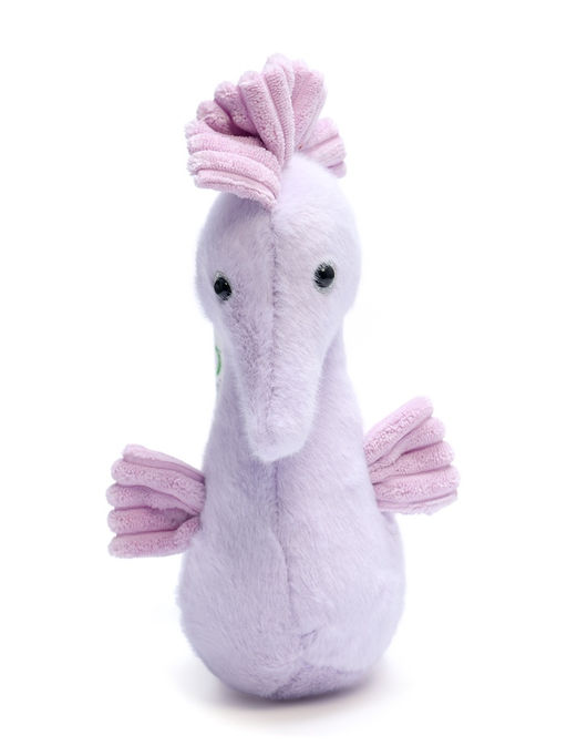 Мягкая игрушка «Морской конёк», 25 см, МИКС